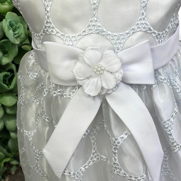 American Princess Special Occasion Dress - Picture 7 of 16